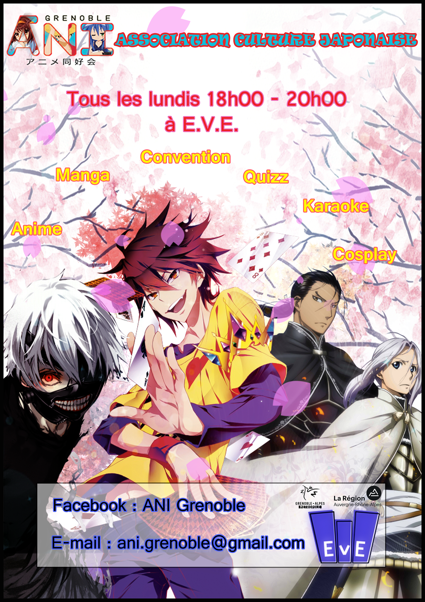 affiche-ani-grenoble